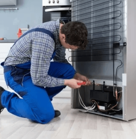 Same-Day Fridge Repair Service